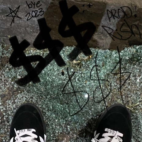 $$$ cover art