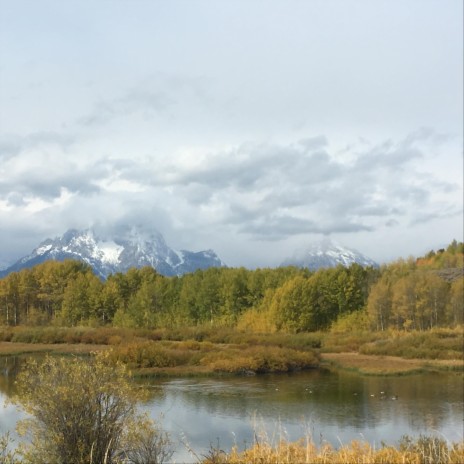 Wild in Wyoming cover art