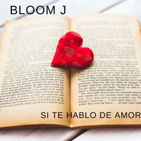 Canción Del Corazón cover art