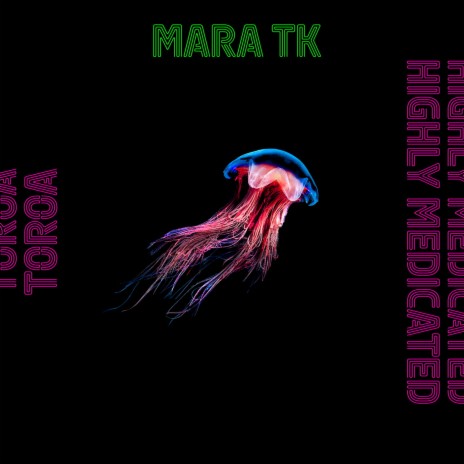 Toroa / The Albatross