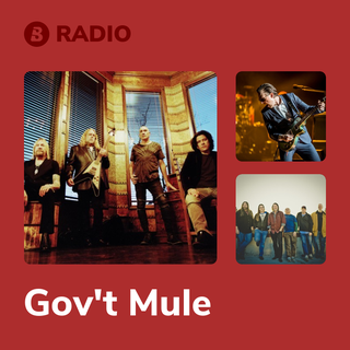 Gov't Mule Radio