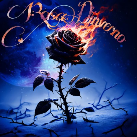 Rosa D'inverno cover art