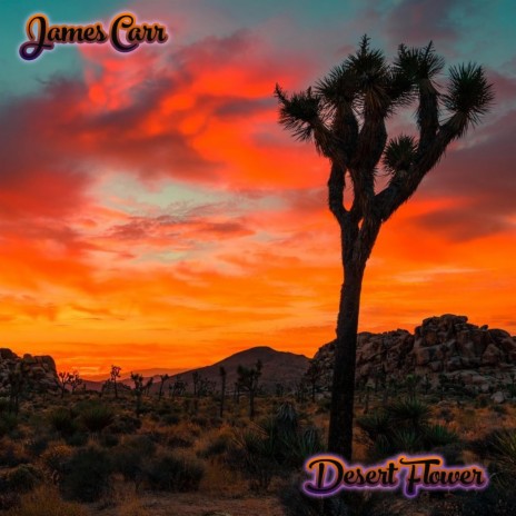 Desert Flower cover art
