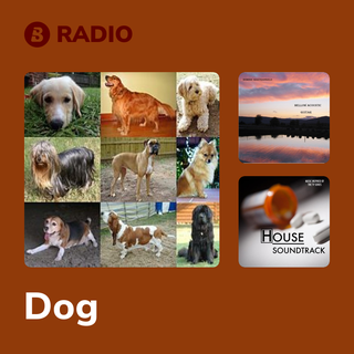 Dog Radio