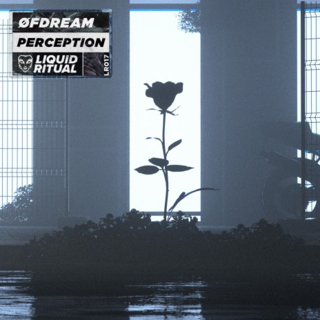 Perception (Original Mix)