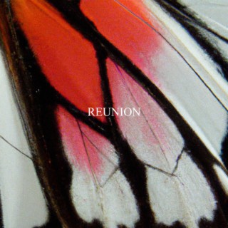 reunion