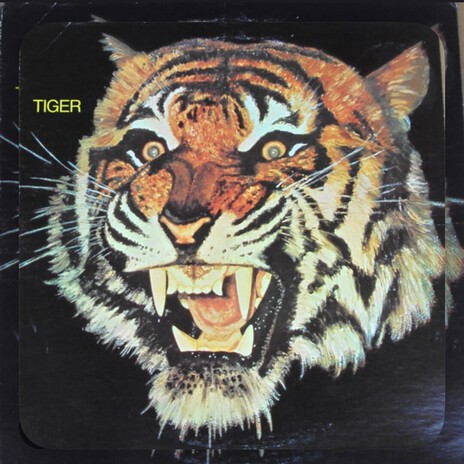 Life of Pi cover art