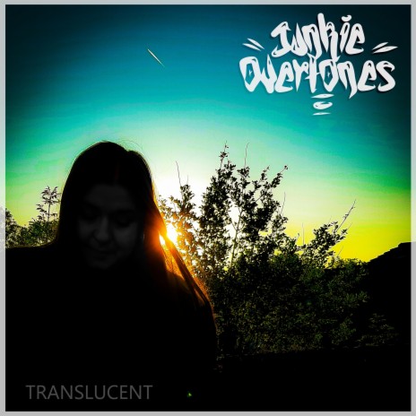 Translucent cover art