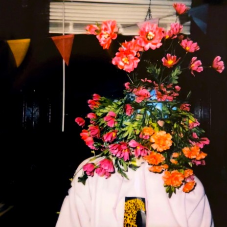 Don't Mind Me (2016)