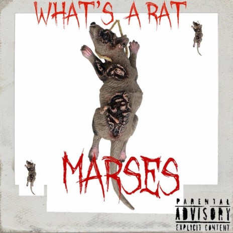 Whats A Rat cover art