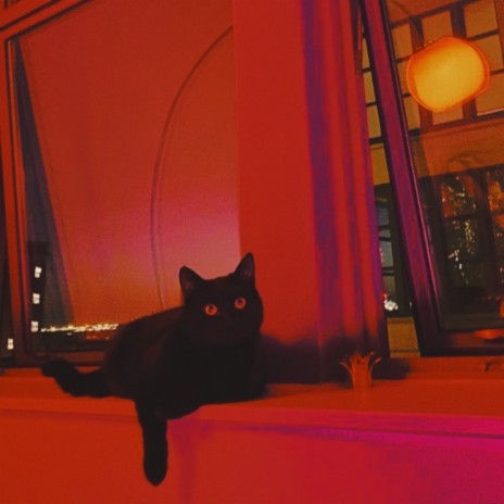 Midnight Seduction cover art