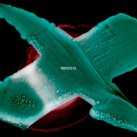 Pga cover art