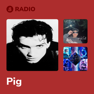 Pig Radio