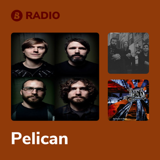 Pelican Radio