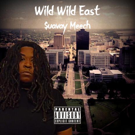 Wild Wild East cover art