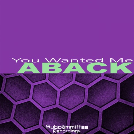 You Wanted Me (Original Mix) cover art
