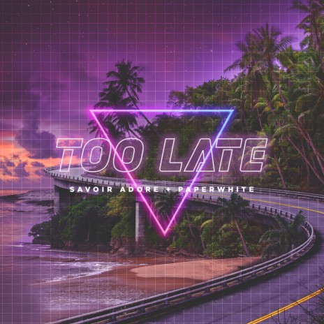 Too Late ft. Paperwhite