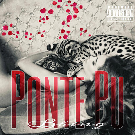 PONTE PU cover art