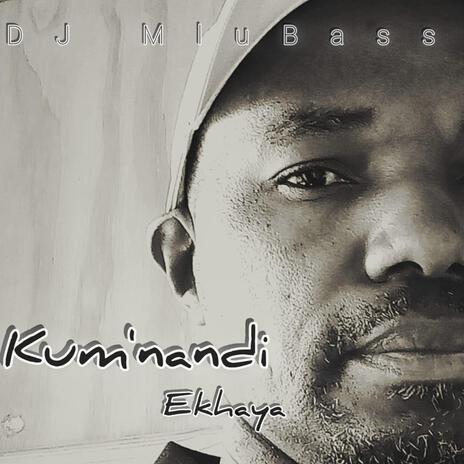 Kumnandi Ekhaya ft. Lady T cover art