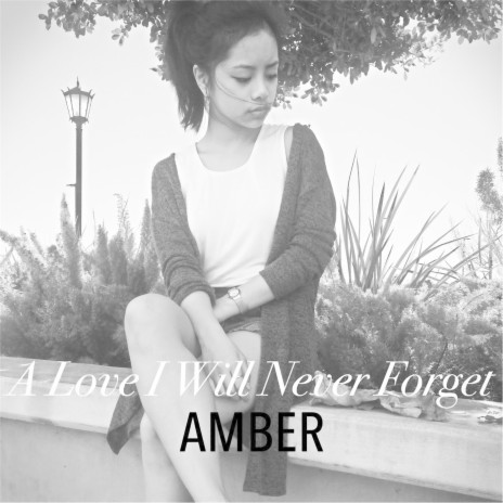 A Love I Will Never Forget cover art