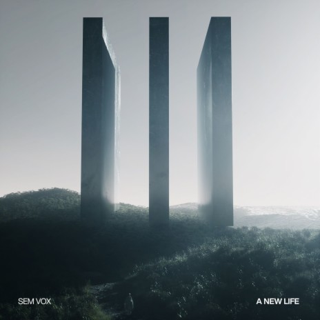 A New Life cover art