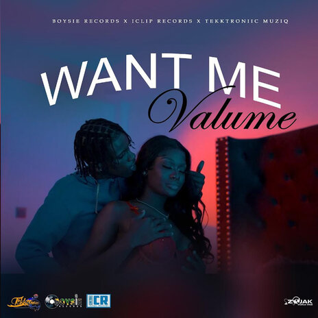Want Me ft. Boysie Records, iClips Records & Tekktroniic cover art