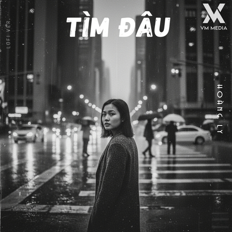 Tìm Đâu (Lofi) ft. VM