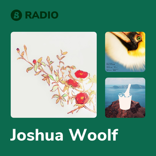 Joshua Woolf Radio