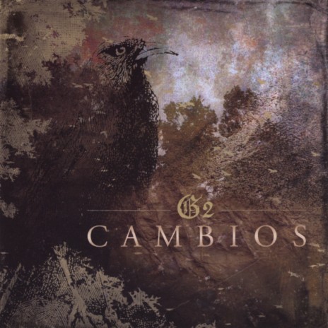 No Puede cover art