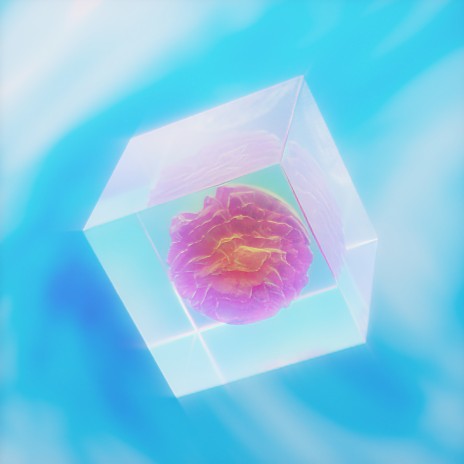 Desert rose cover art