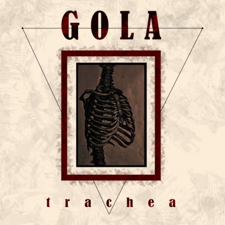 TRACHEA
