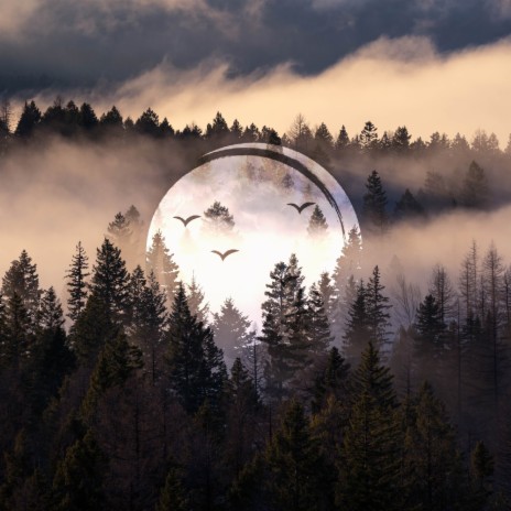 Understory cover art