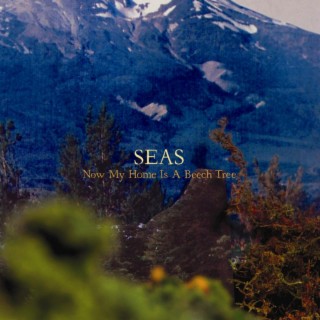 Seas