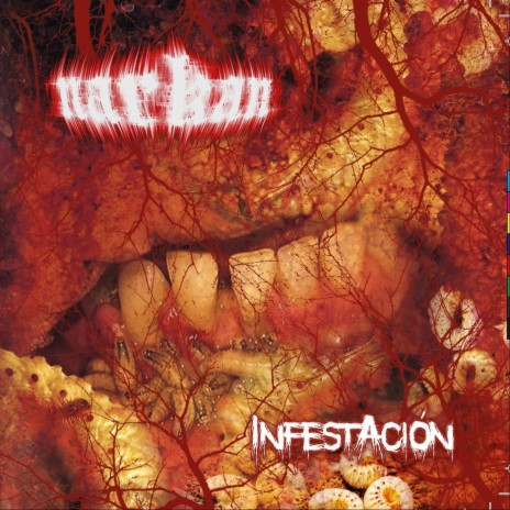 Distorted Life cover art