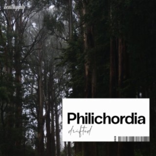 Philichordia