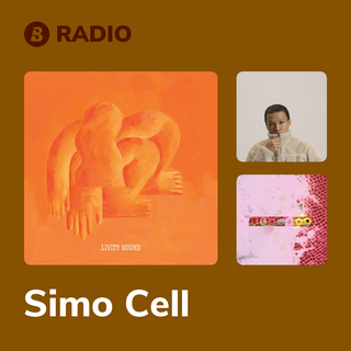 Simo Cell Radio