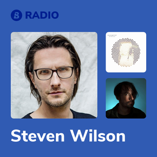 Steven Wilson Radio
