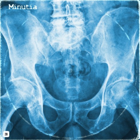 MINUTIA ft. Dom Dias