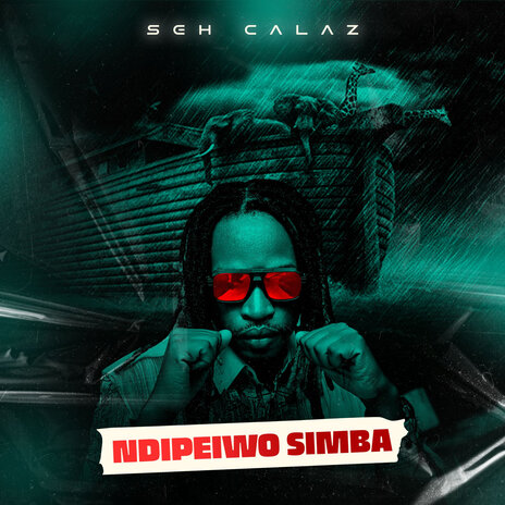 Ndipeiwo Simba cover art