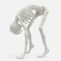 Termina
