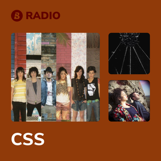 CSS Radio