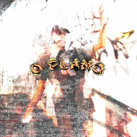 O Plano cover art