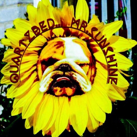 Kickindyrt cover art