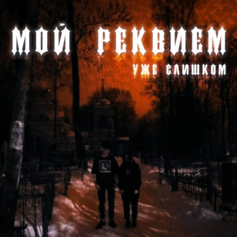 Я вас ненавижу cover art