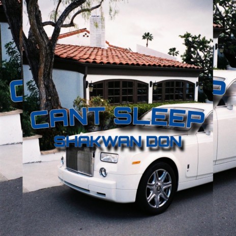 Cant Sleep cover art