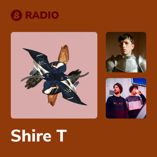 Shire T Radio