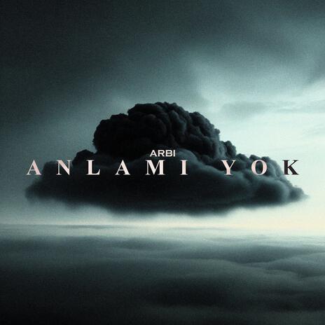 ANLAMI YOK cover art