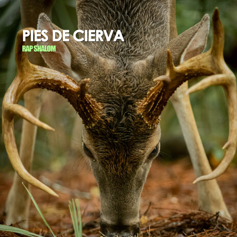 PIES DE CIERVA cover art