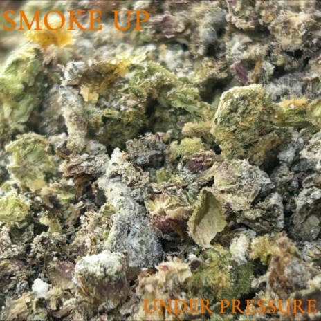 SMOKE UP/ UNDER PRESSURE ft. PLAYBOY X cover art