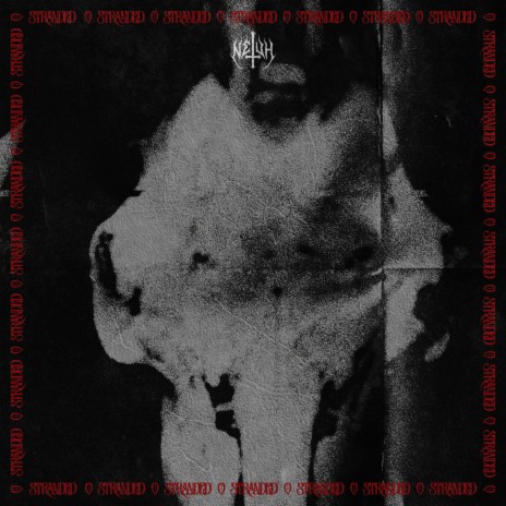 Frost cover art